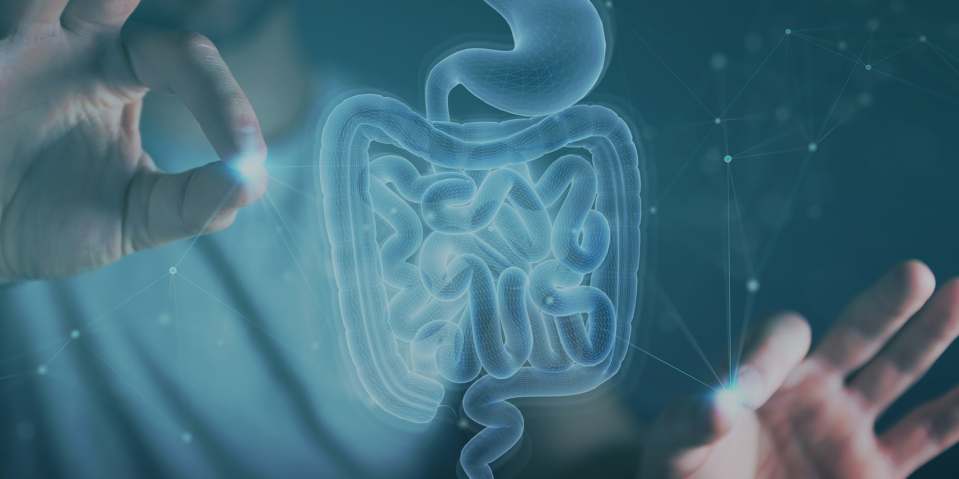 精品乱码一区二区三四区视频