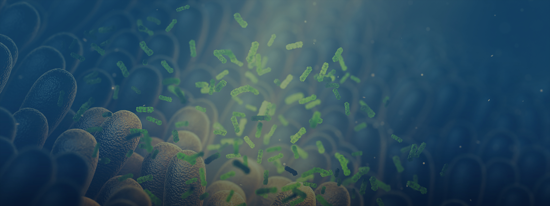 精品乱码一区二区三四区视频