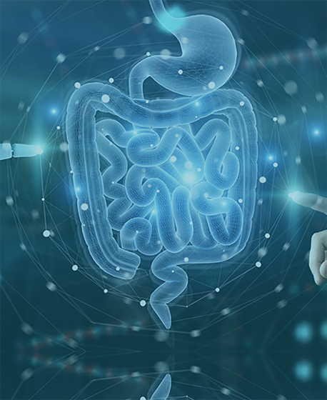 精品乱码一区二区三四区视频