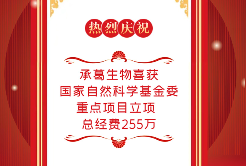 精品乱码一区二区三四区视频