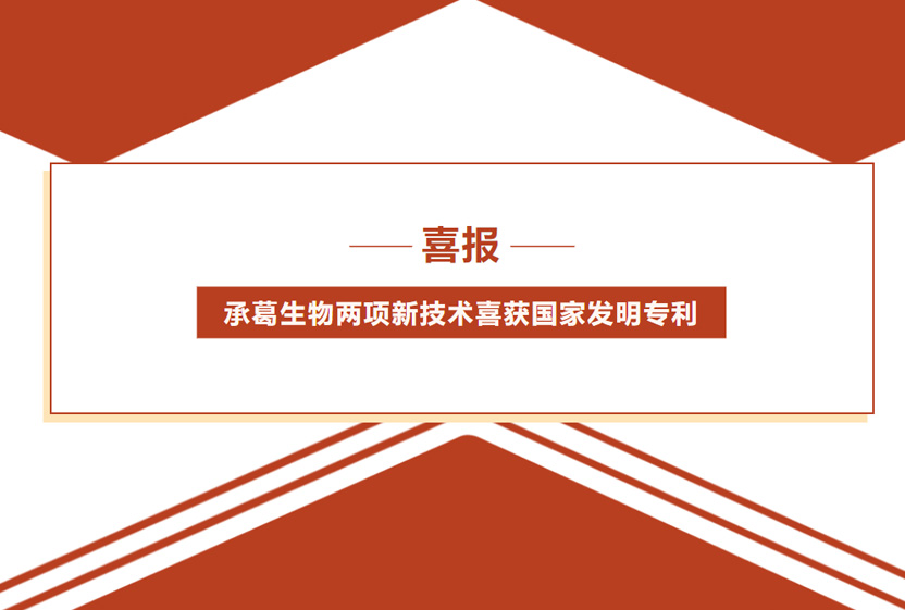 精品乱码一区二区三四区视频