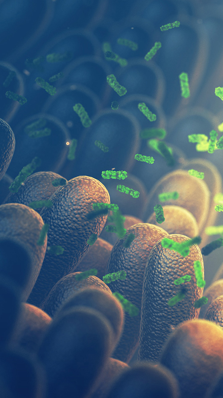 精品乱码一区二区三四区视频