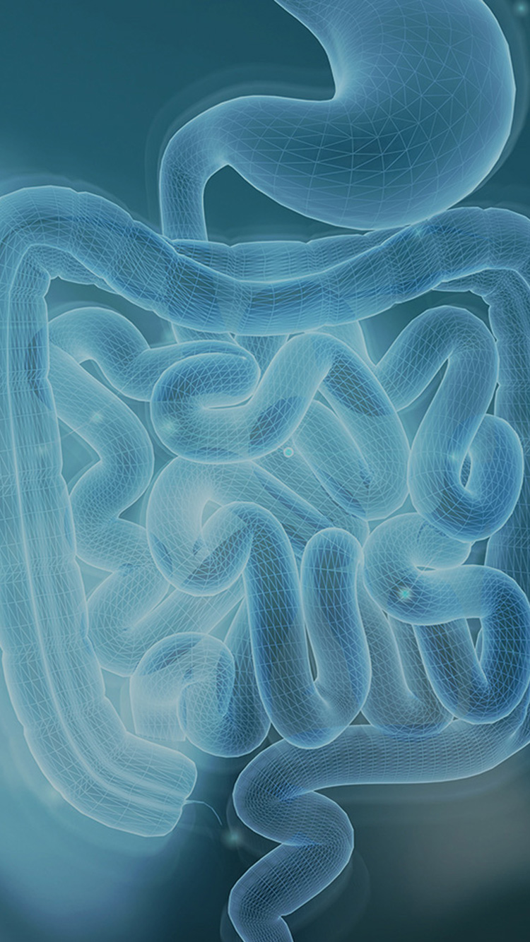 精品乱码一区二区三四区视频