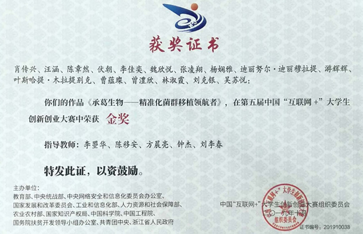 精品乱码一区二区三四区视频