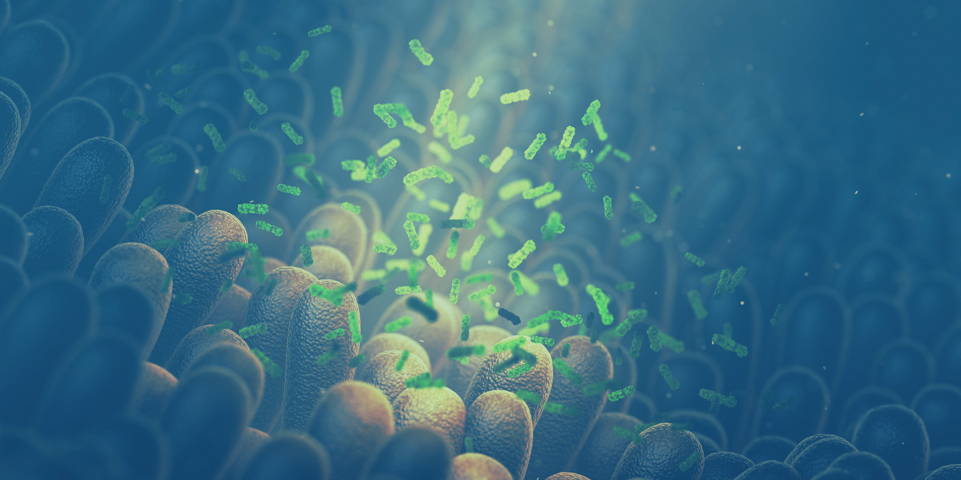 精品乱码一区二区三四区视频