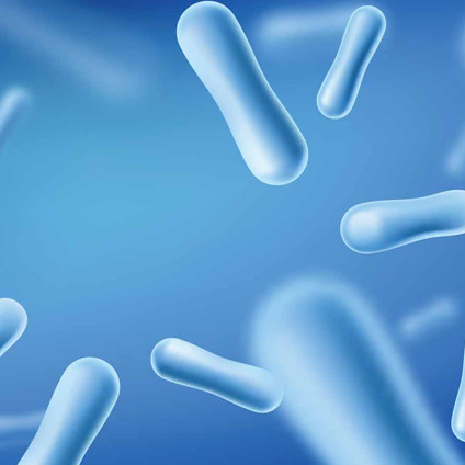 精品乱码一区二区三四区视频