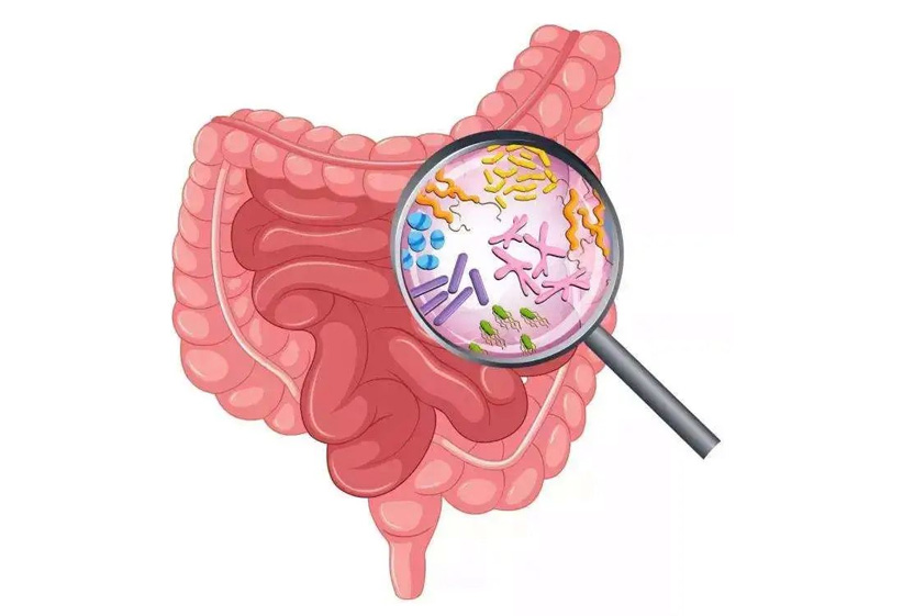 精品乱码一区二区三四区视频