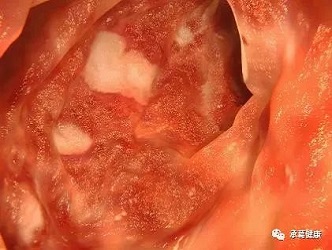 精品乱码一区二区三四区视频