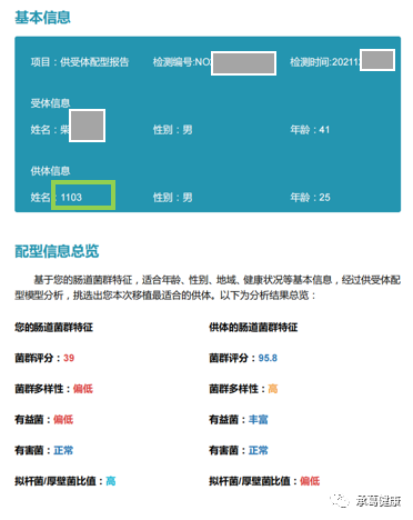 精品乱码一区二区三四区视频