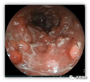 精品乱码一区二区三四区视频