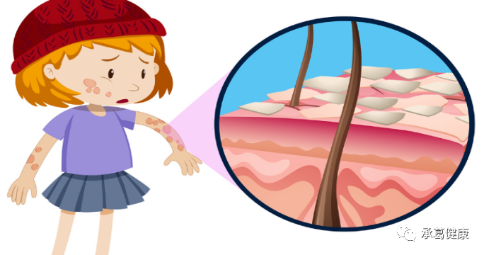 精品乱码一区二区三四区视频