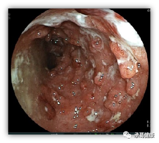 精品乱码一区二区三四区视频