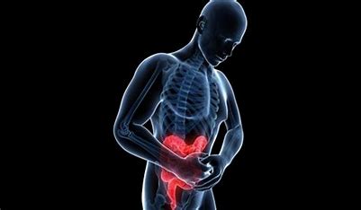 精品乱码一区二区三四区视频