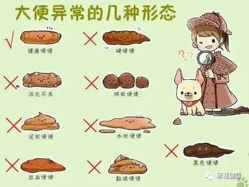 精品乱码一区二区三四区视频