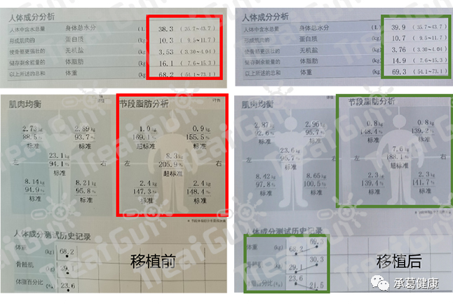 精品乱码一区二区三四区视频