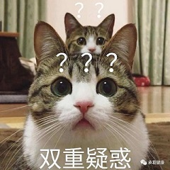 精品乱码一区二区三四区视频