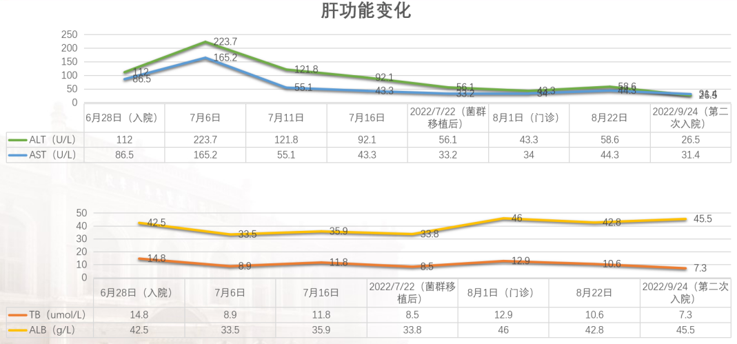 精品乱码一区二区三四区视频
