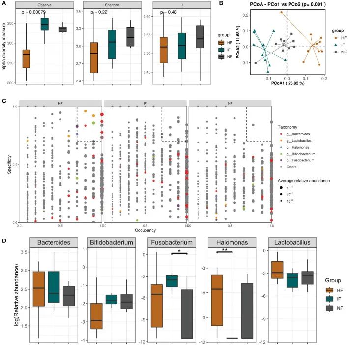 精品乱码一区二区三四区视频