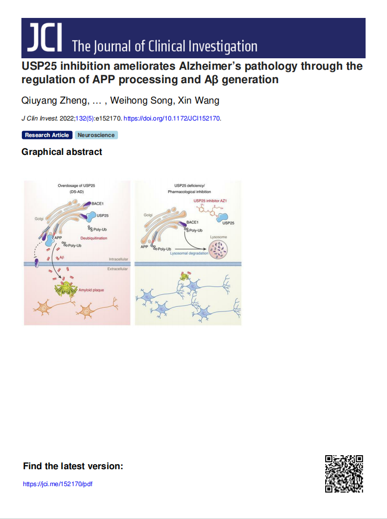 精品乱码一区二区三四区视频