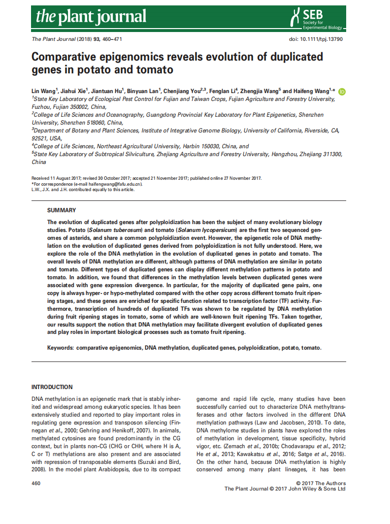 精品乱码一区二区三四区视频