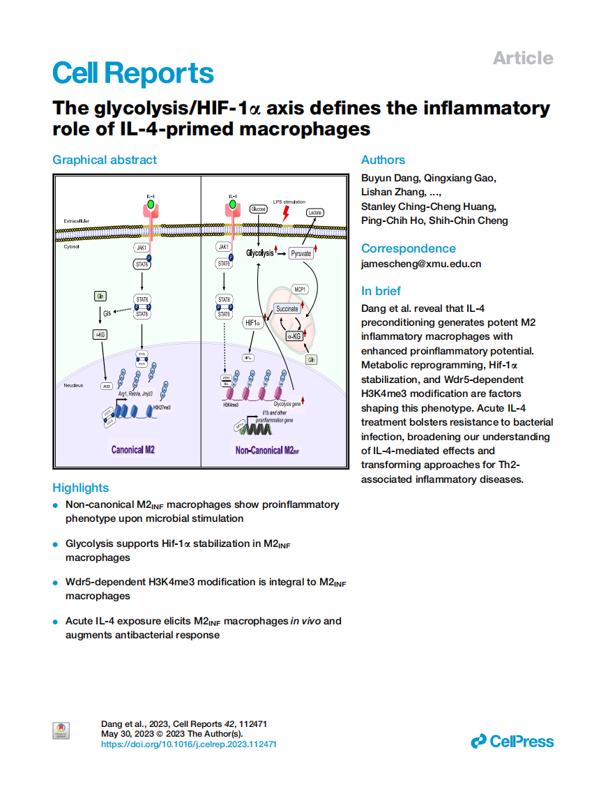 精品乱码一区二区三四区视频
